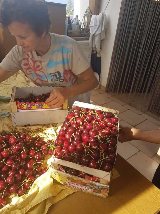 Corbara  Agriturismo A Do' Cumparone מראה חיצוני תמונה