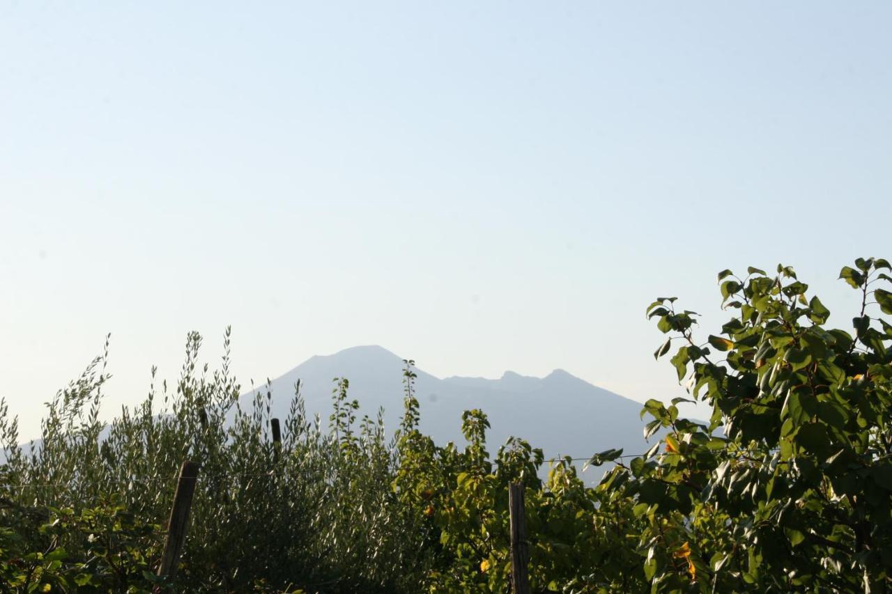 Corbara  Agriturismo A Do' Cumparone מראה חיצוני תמונה