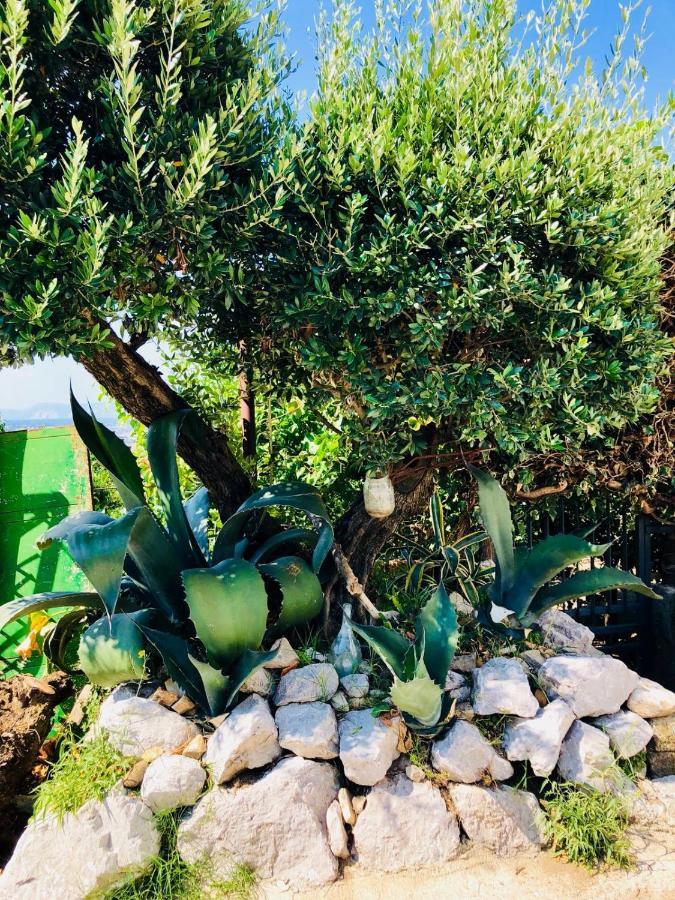 Corbara  Agriturismo A Do' Cumparone מראה חיצוני תמונה