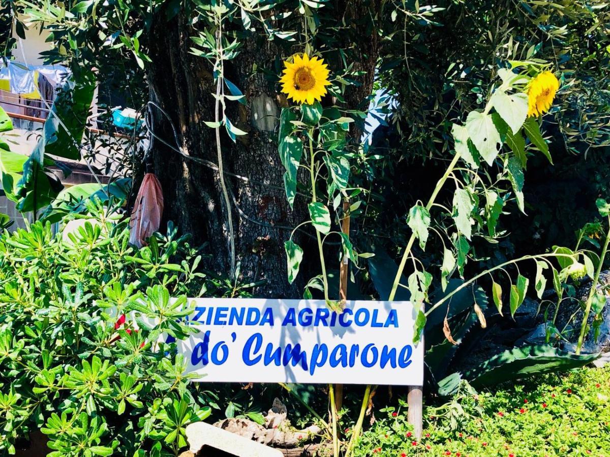 Corbara  Agriturismo A Do' Cumparone מראה חיצוני תמונה